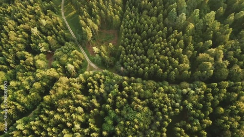 Cinematic birds eye shot of forest with fork in the road photo