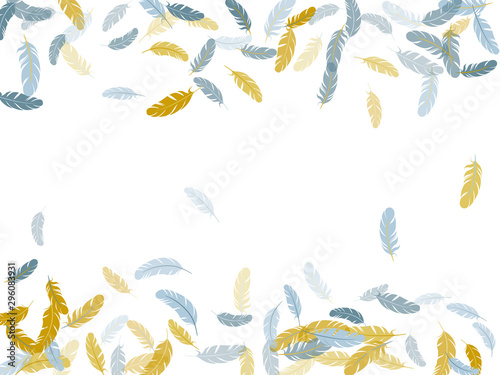Flying feather elements airy vector design.