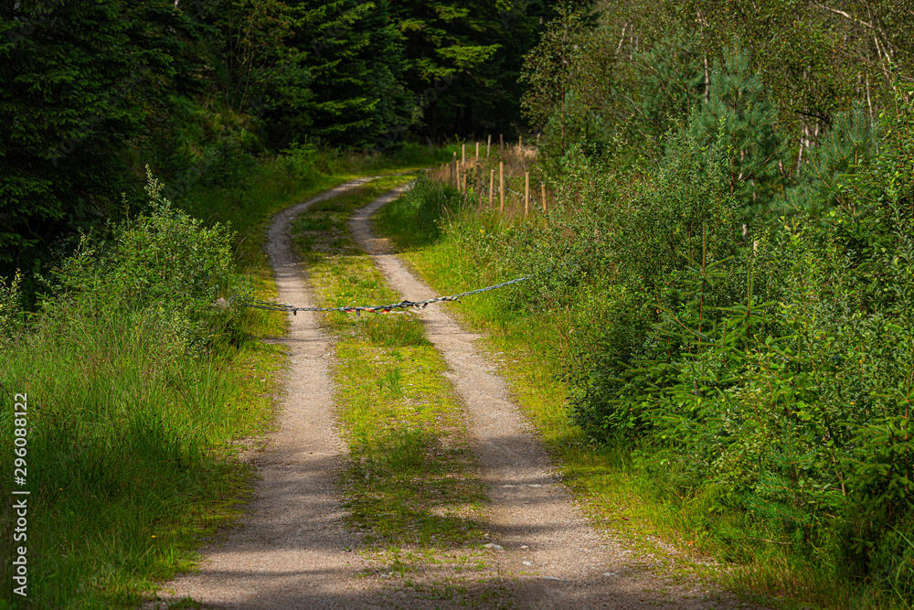 Fototapeta premium Gravel road in the forest closed by chain and padlock.