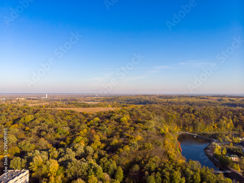 Autumn forest aerial drone view