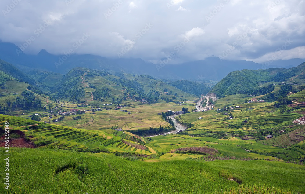 Green Rice fields on terraced in Sapa, Vietnam Rice fields ready for the harvest at Northwest Vietnam.Vietnam landscapes.
