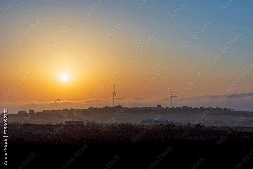 wind turbines of a wind farm at dawn.