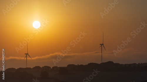wind turbines of a wind farm at dawn.