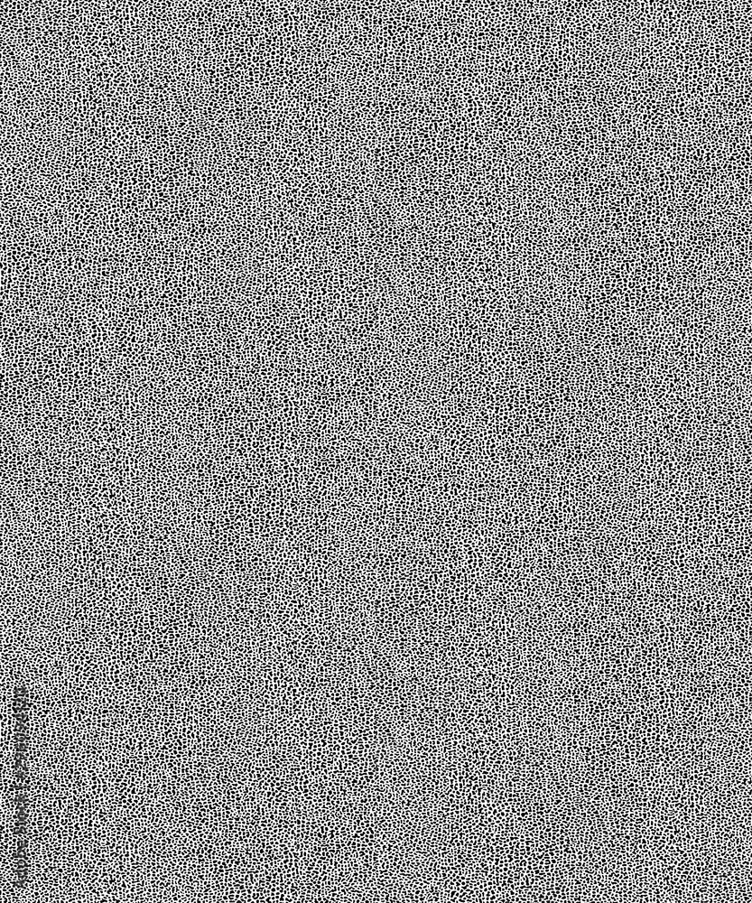 The Monochrome texture. Image includes a effect the black and white tones. Design for packing wallpaper and other design The Monochrome texture. Image includes a effect the black and white tones. Design for packing wallpaper and other design