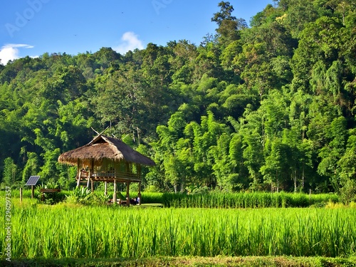 The landscape of the rural cottage and self efficient solar plate with rice field in Chiangmai, Thailand