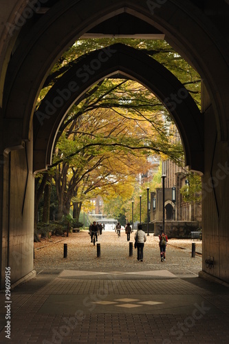 日本の洋館と銀杏の紅葉風景
