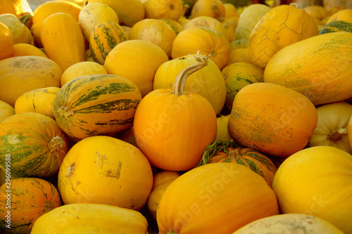 Many pumpkins at the farmers market in Turkey. Harvesting and Thanksgiving concept.