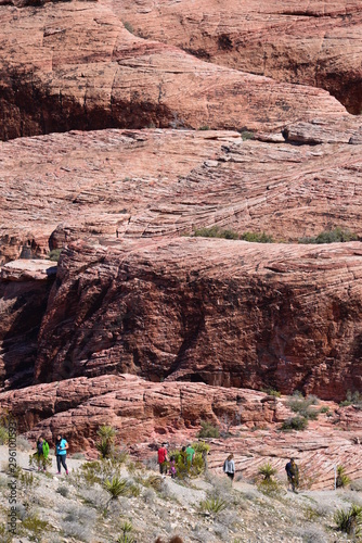 Photography Travel in USA