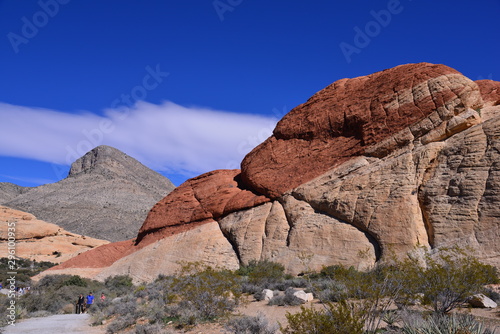 Photography Travel in USA