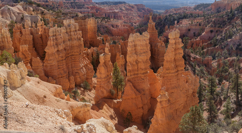 Hoodoos standing in Bryce Canyon