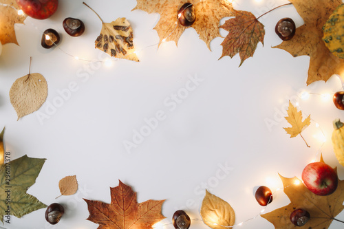 Autumn, fall texture. halloween, thanksgiving day background