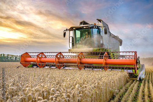 Against the backdrop of a sunny summer day and blue sky with clouds. Combine harvester harvesting ripe golden wheat on the field. The image of the agricultural industry