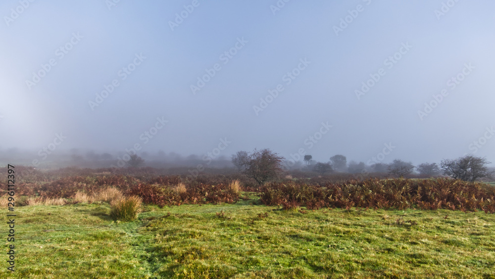 Obraz premium Autumn morning on a Cornish moor as the sun burns away the mist