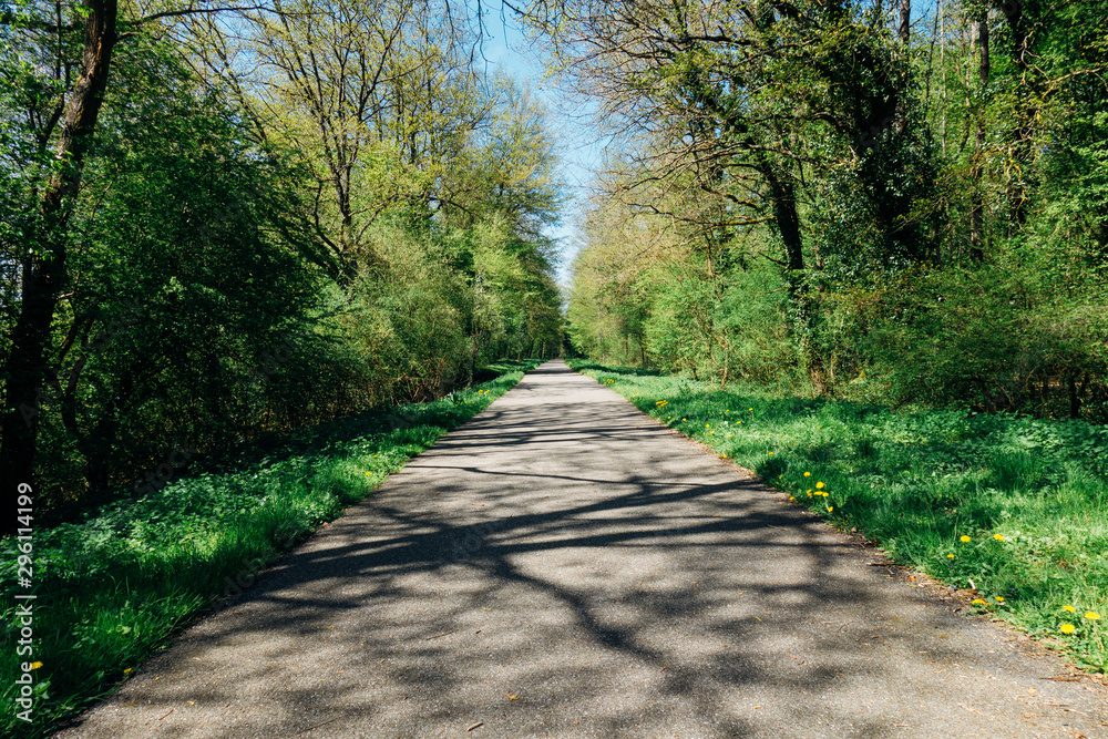 Une route de campagne. Une route dans une forêt. Une route de campagne. Une route dans une forêt.
