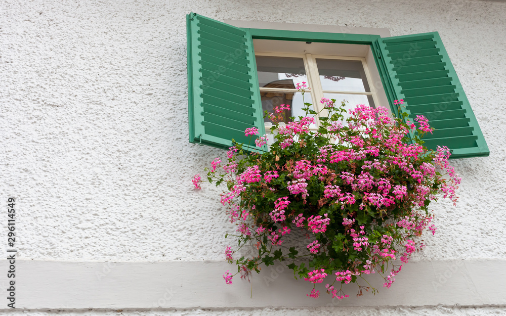  rustikales Fenster, rosa Blumen, grüner Rahmen