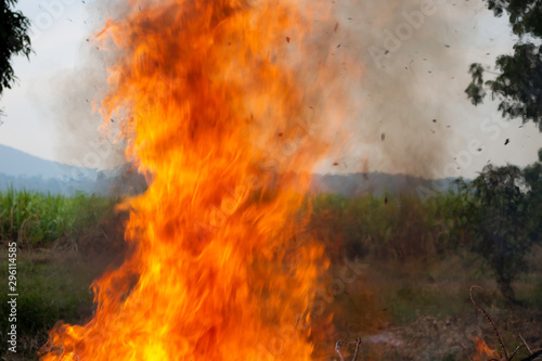 A burning fire on a pile of firewood © sutatawat