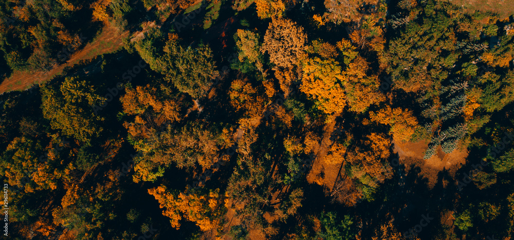 Beautiful drone picture from above of amazing colorful autumn trees