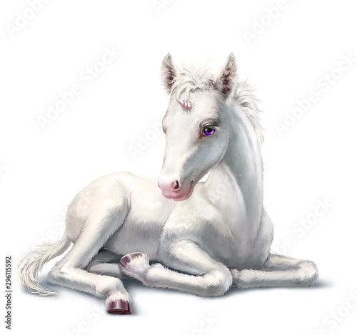 Dekoracja na wymiar  white-unicorn-baby-lying-isolated-on-white