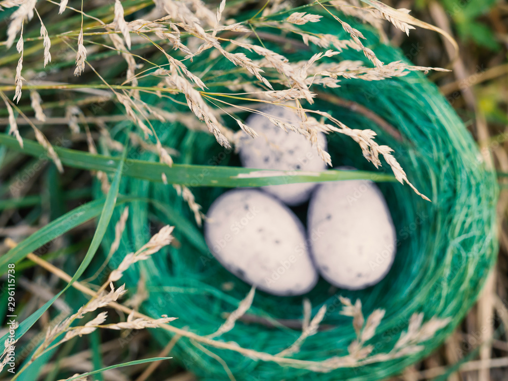 Obraz premium Bird nest in green grass with three eggs