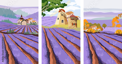 Pack of lavender field with mill, village and green tree