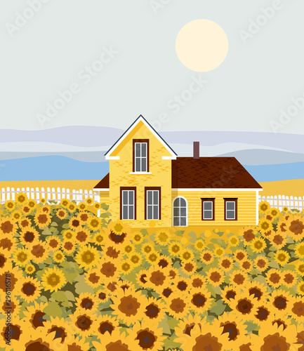 Countryside house with sunflower growing in front