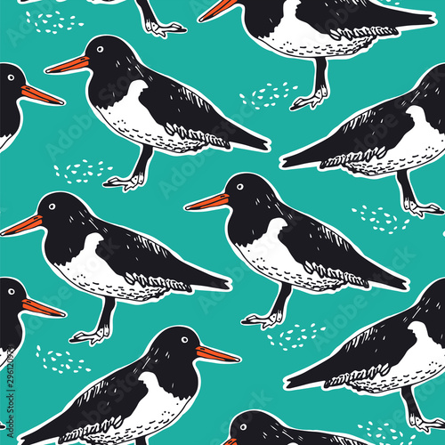 Oyster catcher seamless vector pattern, hand drawn birds background
