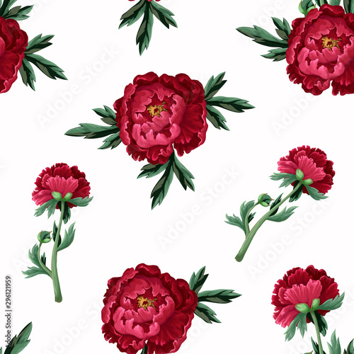 Seamless pattern with burgundy peonies. Vector.