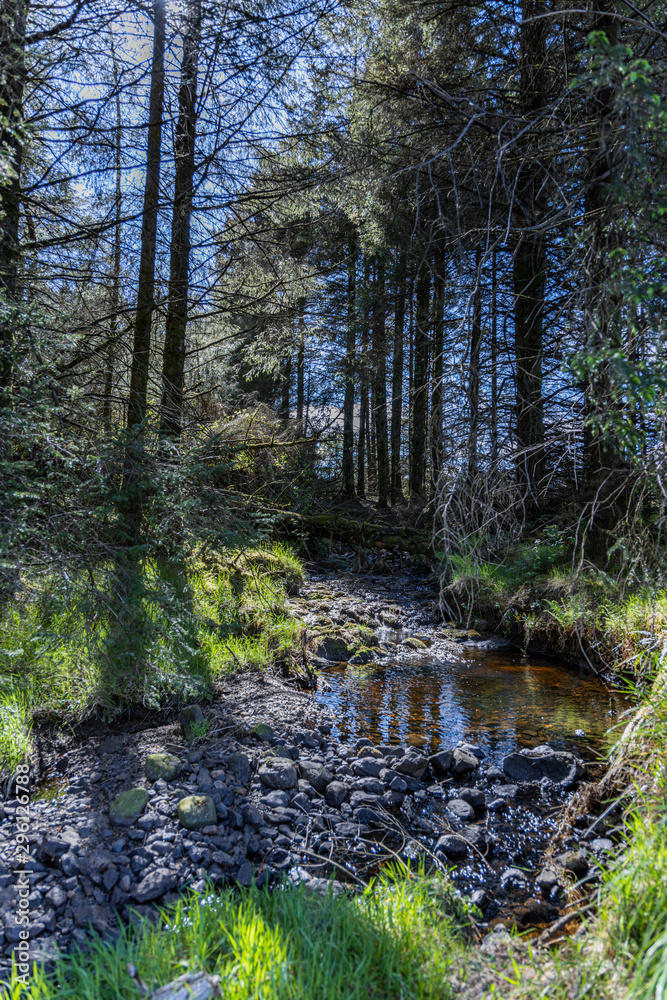 Obraz premium Rocky river beb with pool of water surrounded by trees with sunlight