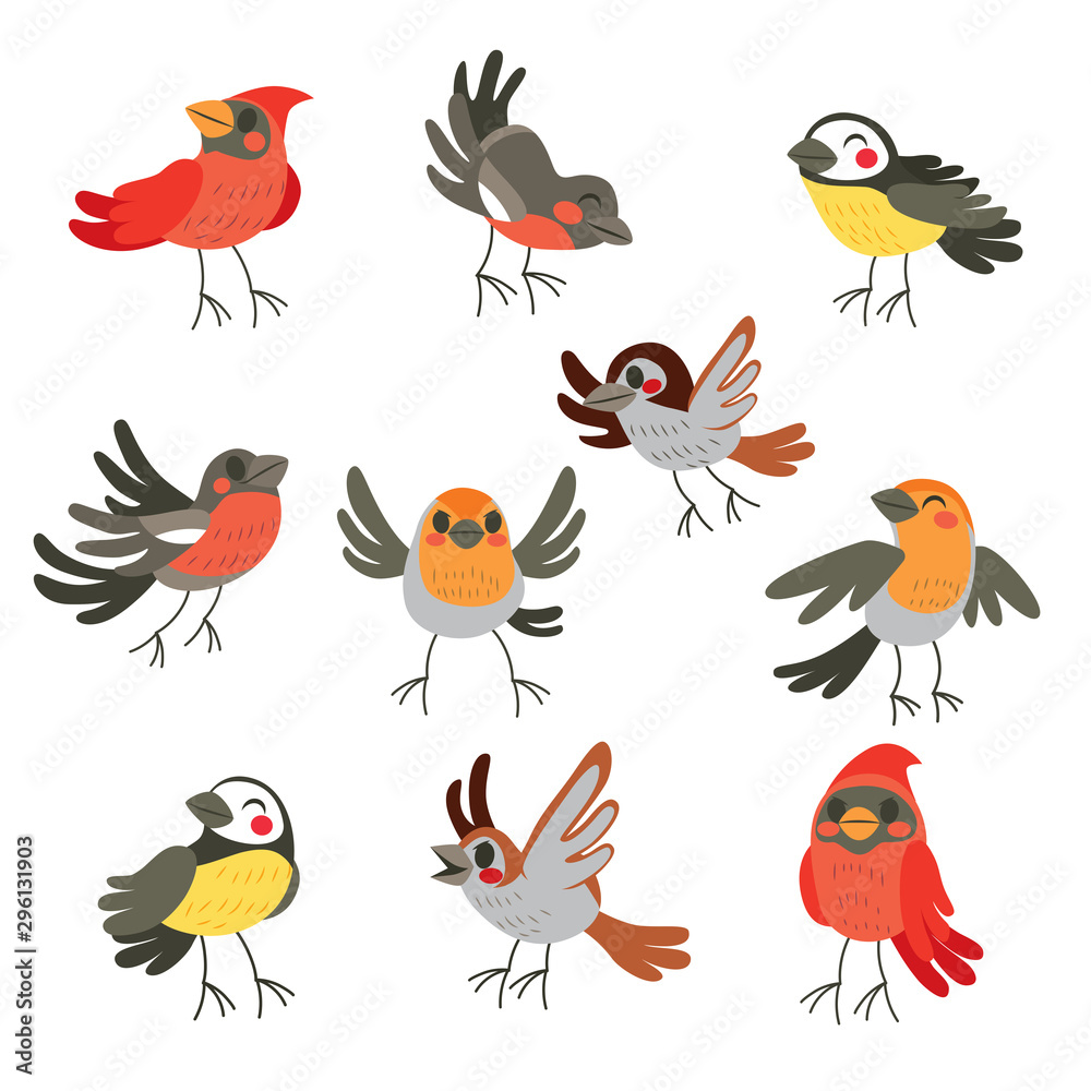 Obraz premium Cute collection set of ten funny birds in winter colors