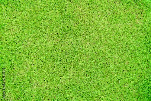Green grass texture background, Green lawn, Backyard for background, Grass texture, Green lawn desktop picture, Park lawn texture.