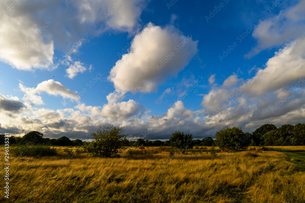 Epping forest in London