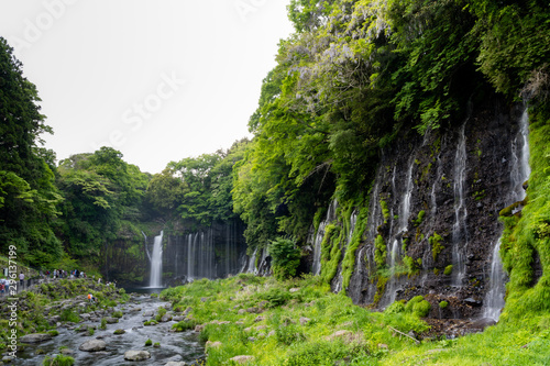Tourists are visiting Shiraito Falls a waterfalls of underground snow melt from Mt. Fuji springing from a lava wall popular destination located in foot of Mount Fuji Fujinomiya, Shizuoka Japan.