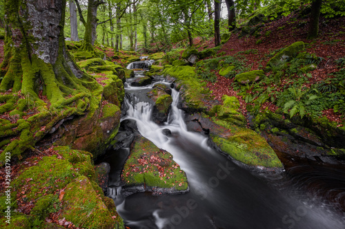 Obraz na plátně River runs in middle of the forest. Fine art Long exposure shot.