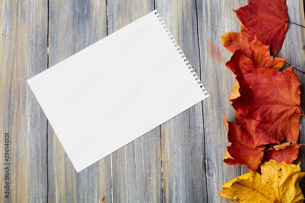 Fototapeta premium autumn leaves on a wooden background with a sheet of paper
