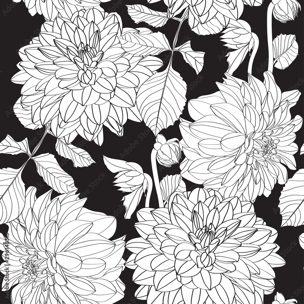 Obraz Dahlia. Seamless pattern of black white line dahlia flowers. Floral background.