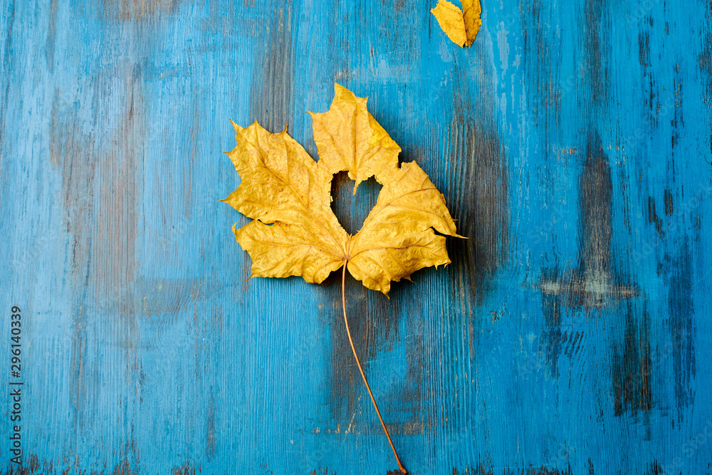 Obraz premium autumn leaves on a wooden background removed