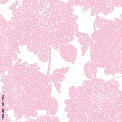 Dahlia. Seamless pattern of pink line dahlia flowers. Floral background.