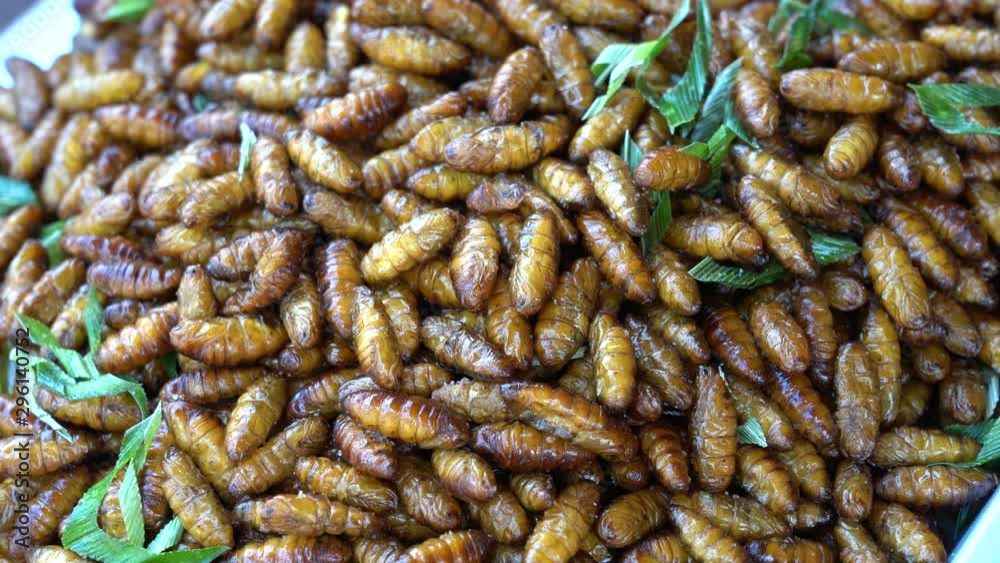 Fried larvae for sell at street food market, Thailand. Fried insect, Thai cuisine. They are deep fried until reaching a complete state of crispness and eaten as a protein enriched snack Fried larvae for sell at street food market, Thailand. Fried insect, Thai cuisine. They are deep fried until reaching a complete state of crispness and eaten as a protein enriched snack