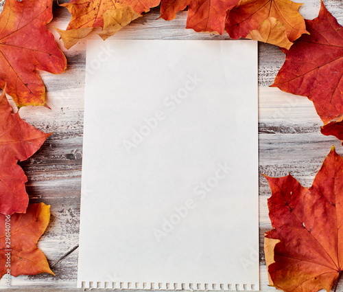 Colorful vertical frame of fallen autumn leaves