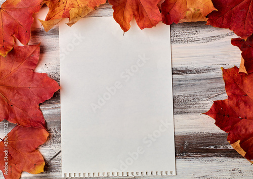 Colorful vertical frame of fallen autumn leaves