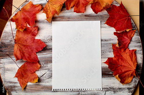 Colorful vertical frame of fallen autumn leaves