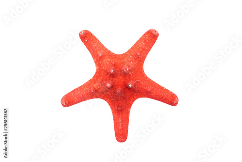 Red starfish isolated on white background.