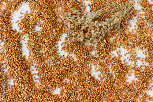 Grains and sprigs of red millet. Top view.