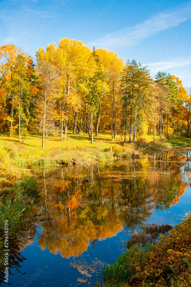 Wonderful autumn landscape with beautiful yellow and orange colored trees, lake or river, vertical