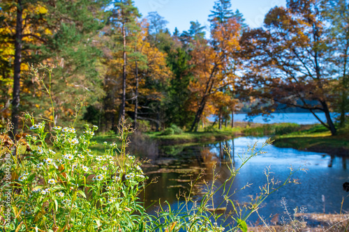 Fototapeta Naklejka Na Ścianę i Meble -  Wonderful autumn landscape with flowers beautiful yellow and orange colored trees with river and lake 