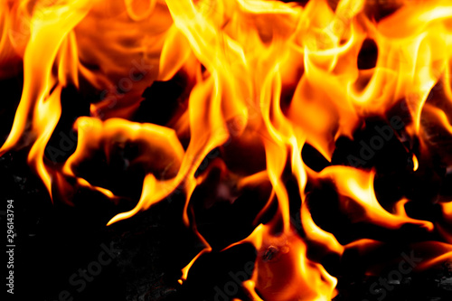 Bright blazing fire. Fire. The texture of fire. © Александр Могилевцев