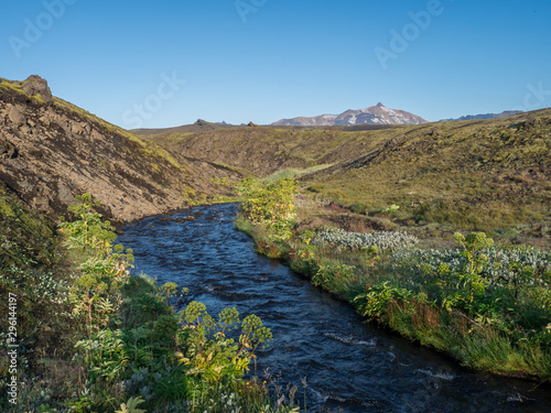 Icelandic landscape with blue river stream and lush green vegatation at Iceland on Laugavegur hiking trail, green valley in volcanic landscape among lava fields and mountains. Early morning, summer