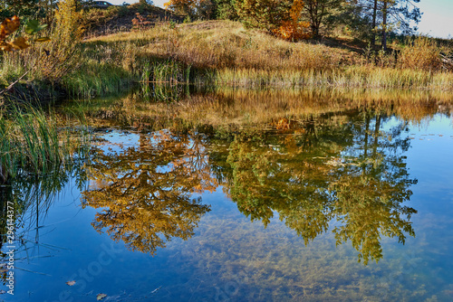 Oak next to the lake