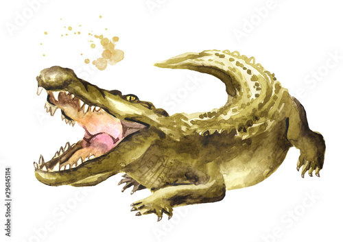 Wild attacker forward crocodile or Alligator with open mouth. Watercolor hand drawn illustration  isolated on white background