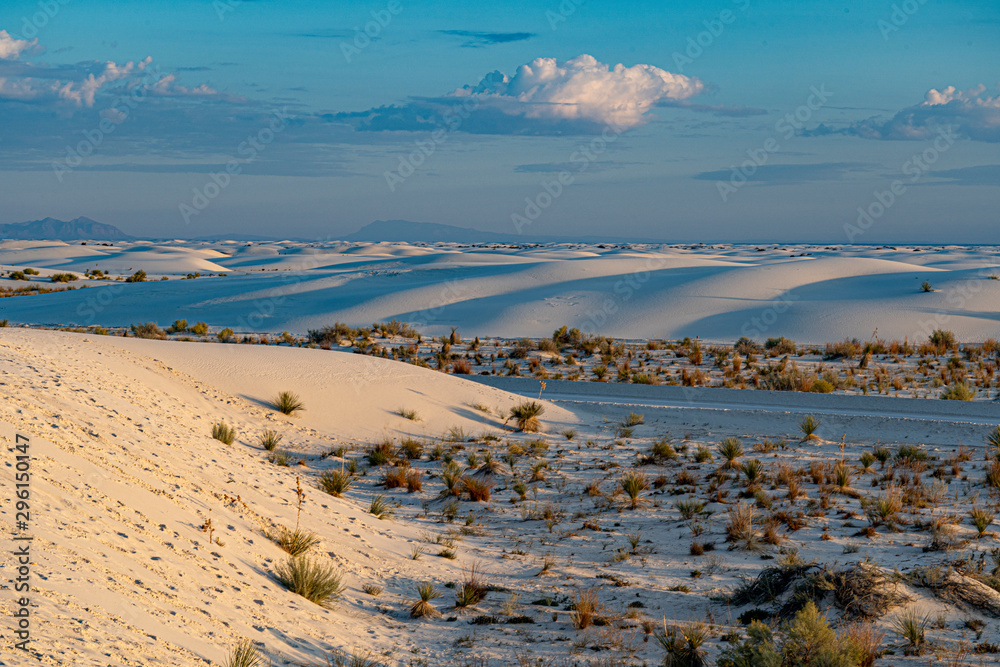 Early morning light on the desert at White Sands National Monument